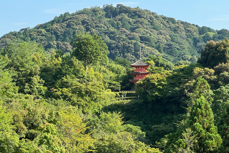 Kyoto: Gion Highlights & Hidden Treasures Guided Tour Group Tour