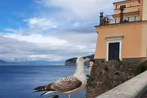 Sorrento: vandring i Grand Tour med fantastiske landskaber