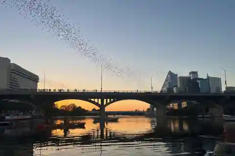 Austin: Bat Bridge Sunset Kayak Tour