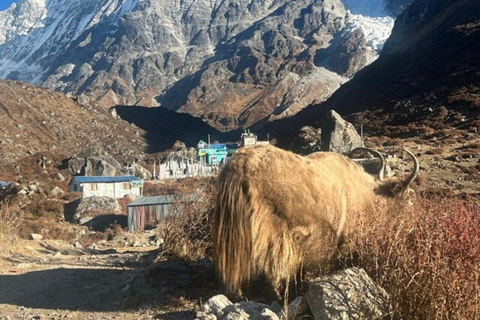 Nepal: 12 Days Yala Peak Beginner Climb with Safety Training