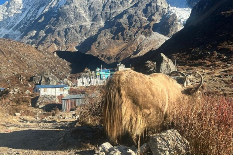 Nepal: 12 Days Yala Peak Beginner Climb with Safety Training
