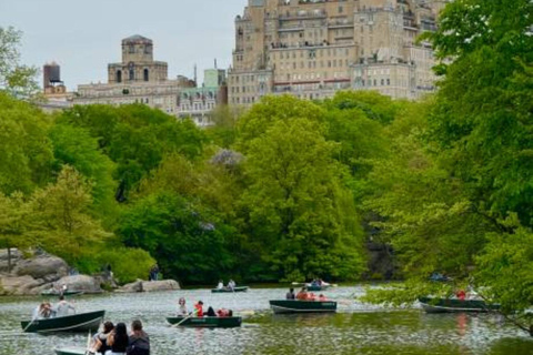 NYC Private Central Park Horse Carriage Ride with Guide NYC VIP Christmas Light Horse Carriage Ride