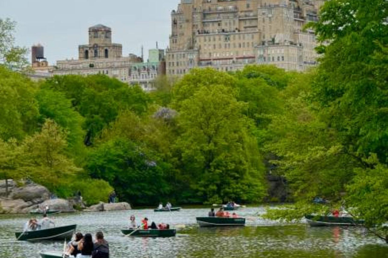 NYC Private Central Park Horse Carriage Ride with Guide NYC VIP Christmas Light Horse Carriage Ride