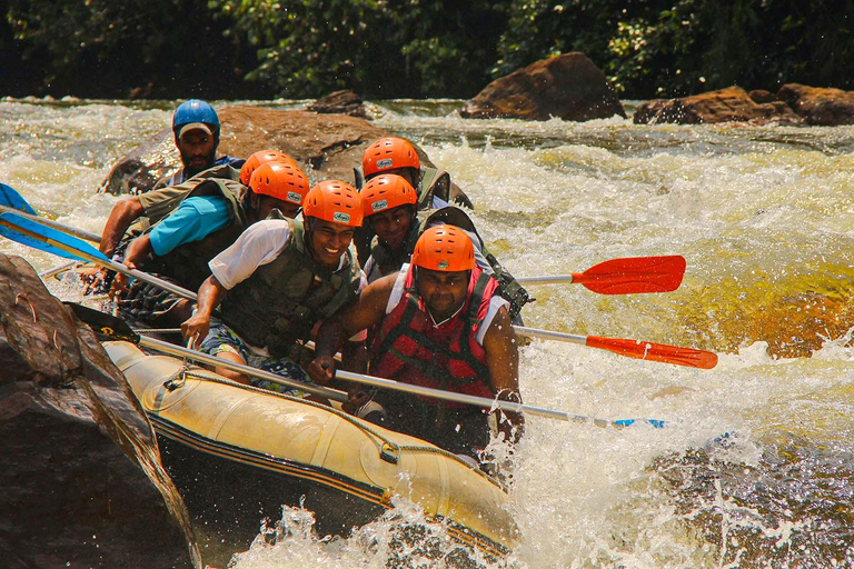 From Colombo: Kitulgala White Water Rafting Day Trip