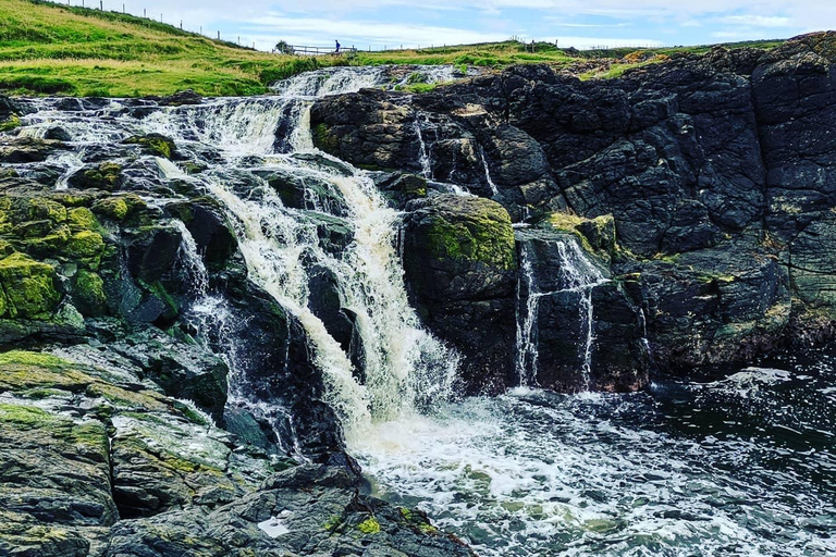 Tour guidato privato delle Antrim Glens e della Causeway Coast