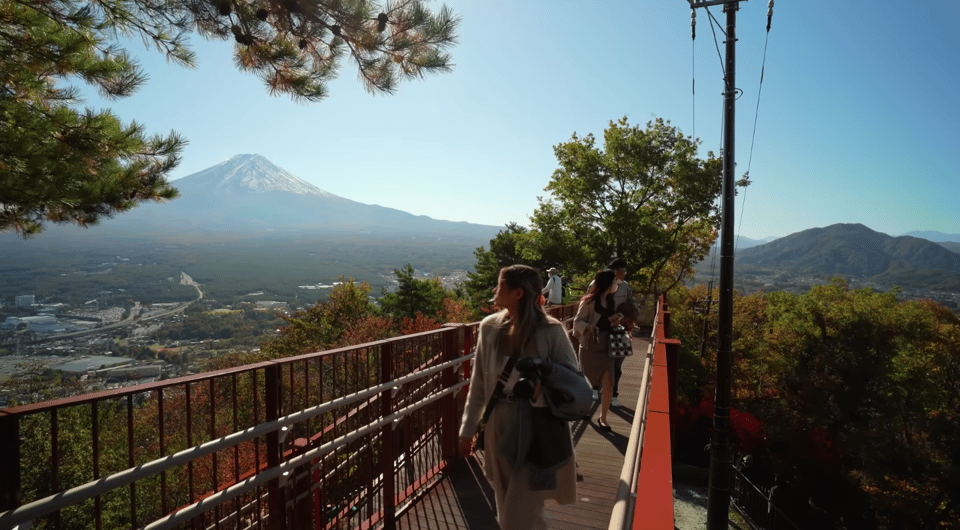 Da Tokyo, Mt. Fuji Sightseeing Private Day Tour - Hizvo
