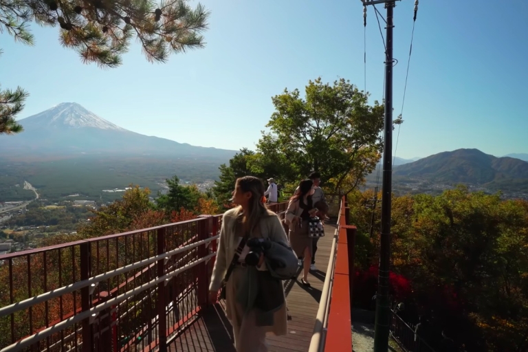 Desde Tokio: Excursión Privada de un Día al Monte Fuji