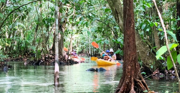 From Ao Nang: Kayaking at Klong Rud with Hotel Transfers