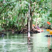 From Ao Nang: Kayaking at Klong Rud with Hotel Transfers From Ao Nang: Kayaking at Klong Rud with Hotel Transfers