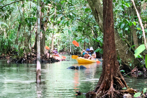 From Ao Nang: Kayaking at Klong Rud with Hotel Transfers