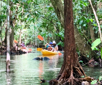 Da Ao Nang: Kayak a Klong Rud con trasferimenti dall'hotel
