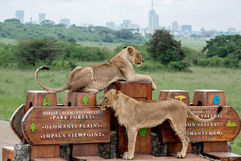 Nairobi: Nairobi National Park and Masai Collection Tour