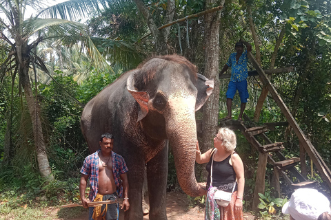 La migliore guida di viaggio dello Sri Lanka: Attrazioni principali Scoprire