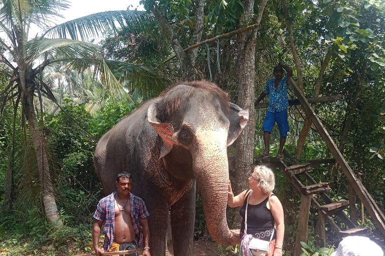 La migliore guida di viaggio dello Sri Lanka: Attrazioni principali Scoprire