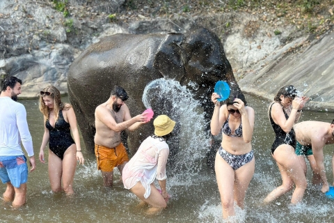 Chiang Mai: cascada, santuario de elefantes y rafting en bambúRecorrido en grupo con recogida en el hotel