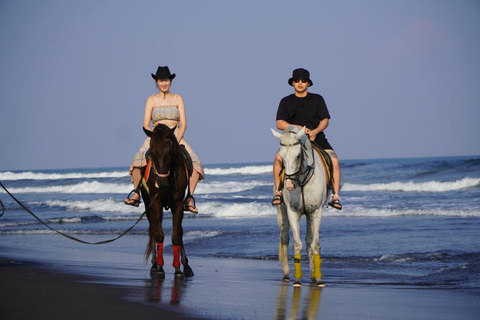 Bali: Bali Beach Horse riding Experience Horse Riding Beach 1 Hour No Transport