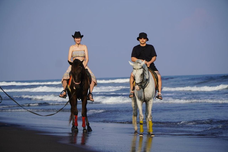 Bali: Bali Beach Horse riding Experience Horse Riding Beach 30 minute No Transport