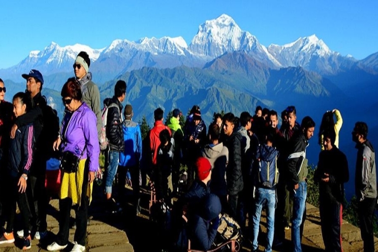 Scenic Adventure: Group Joining 3-Day Poon Hill Trek