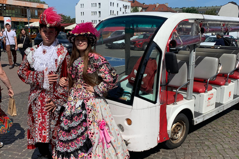 Gdańsk: Wycieczka po mieście elektrycznym wózkiem golfowymGdańsk: 1-godzinna prywatna wycieczka po mieście elektrycznym wózkiem golfowym