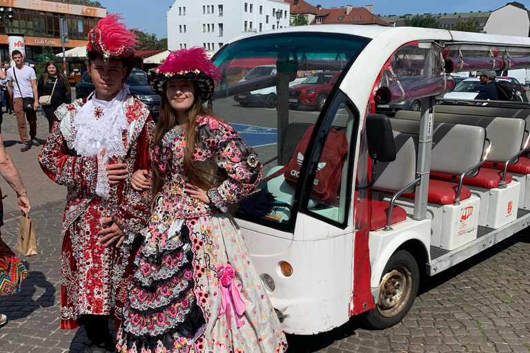 Gdańsk: Stadtführung mit dem elektrischen GolfwagenDanzig: Private Stadtrundfahrt im Elektro-Golfcart