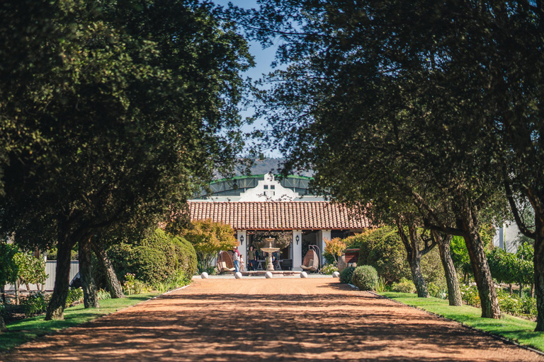 &quot;Casas del Bosque Winery - Premium Tour.&quot;