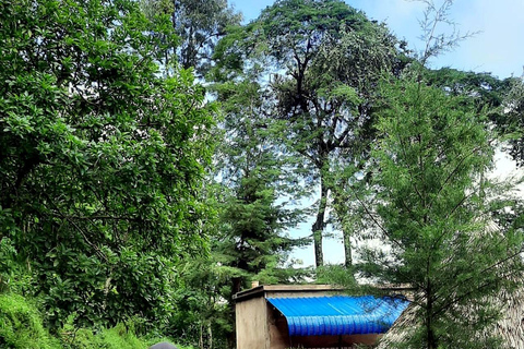 From Arusha: Materuni Waterfalls & Coffee Tour