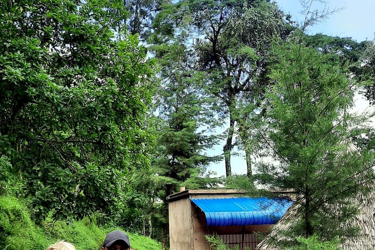 From Arusha: Materuni Waterfalls & Coffee Tour