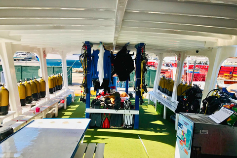 Kuşadası: Premium Scuba Diving, Wreck and Cave Expeditions Pro: Reef Dive (Certified Divers)