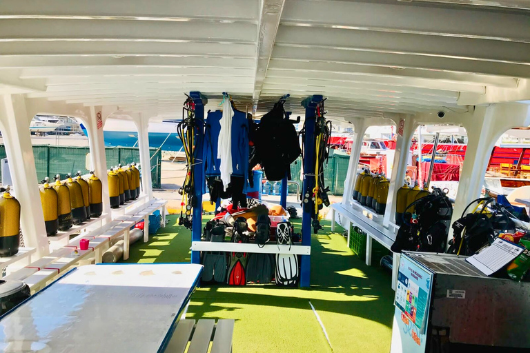 Kuşadası: Premium Scuba Diving, Wreck and Cave Expeditions Pro: Reef Dive (Certified Divers)