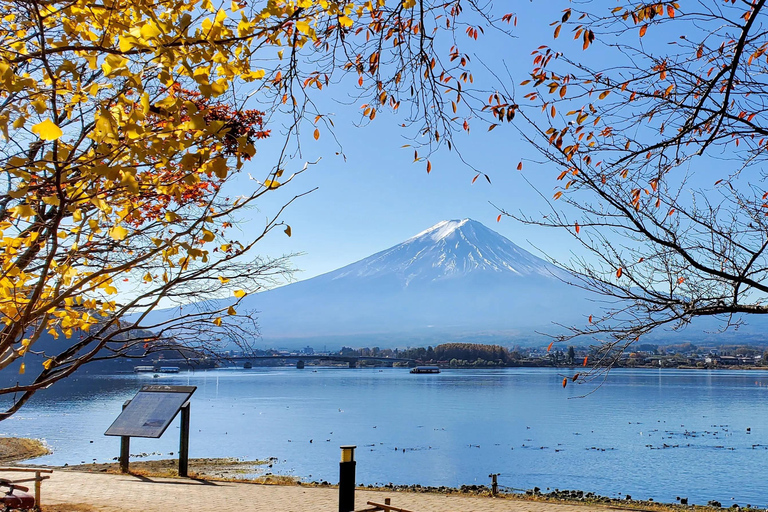 Tokyo: Private Daytrip to Mount Fuji - Fully Customizable Mt Fuji Private Luxury Van Tour (Customizable Experience)