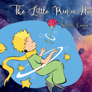 The Little Prince House Entry Ticket to the Exhibition in Busan