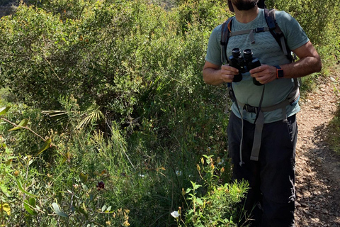 Visit the most beautiful village in Valencia: Chulilla