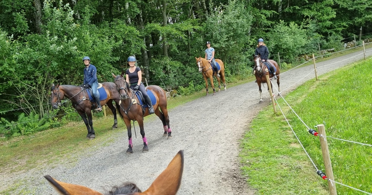 Parque Nacional de Söderåsen: Férias com passeios a cavalo 2 noites ...