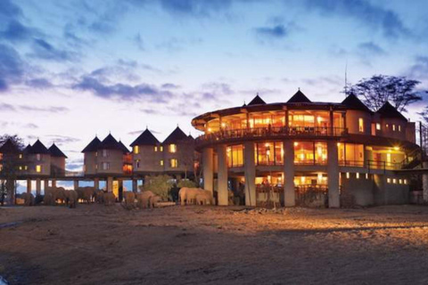 Mombasa/Diani: 2-Day 1 Night Safari to Salt Lick Lodge