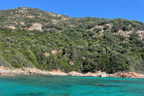 Sagone/Cargèse: Tour en barco por las Calanques de Piana y Capo RossoDesde Sagone