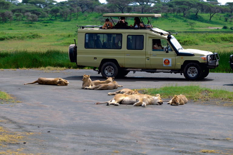 Ngorongoro Crater: Full-Day Safari Tour
