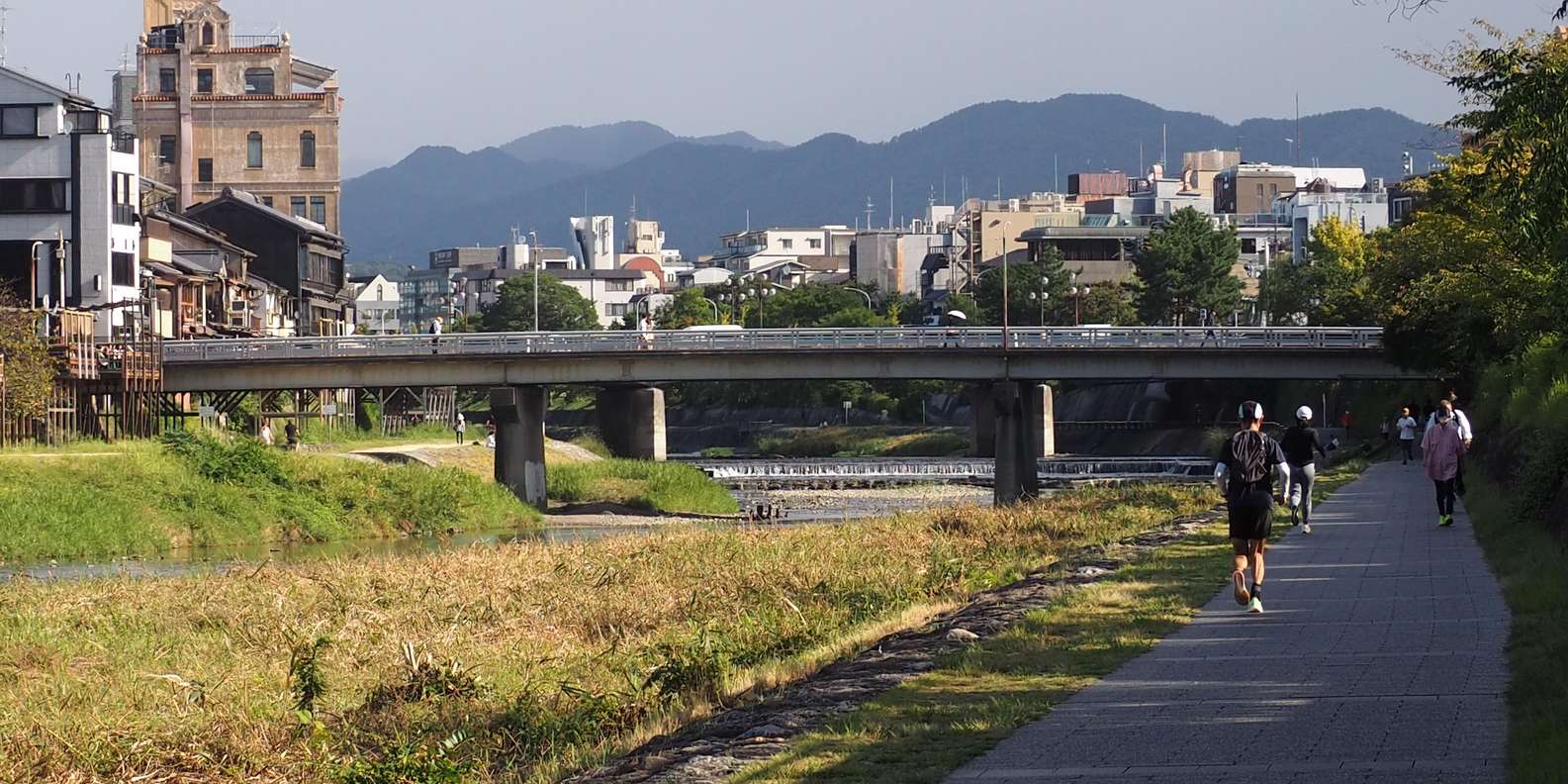 Kyoto experience — temples, geisha, bamboo grove — image 45