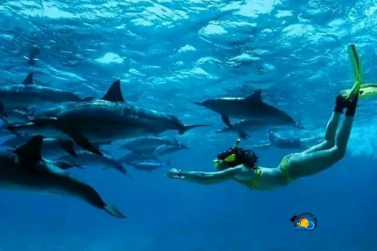 Zanzibar: Snorkeling nell&#039;atollo di Mnemba e crociera in dhow al tramonto