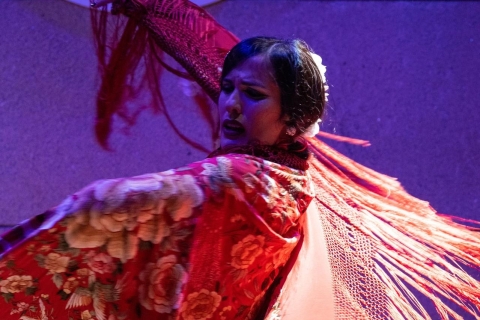 Valence : spectacle de flamenco à La Linterna avec boisson