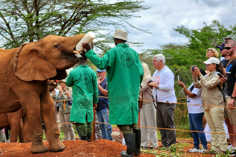 David Sheldrick Elephant Orphanage &amp; Beads Factory Tour