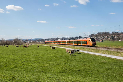 Zurich: Hardcore Swiss Train Tour–4 Scenic Railways in 1 day Excluding Train Tickets