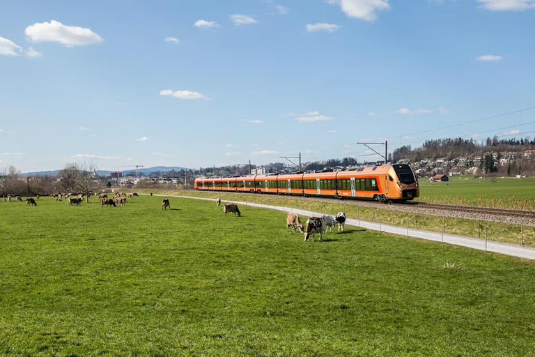 Zurich: Hardcore Swiss Train Tour–4 Scenic Railways in 1 day Excluding Train Tickets