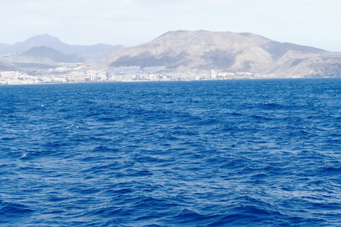Estepona Sailing and Marine Nature Experience
