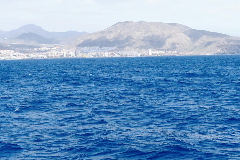 Estepona Sailing and Marine Nature Experience