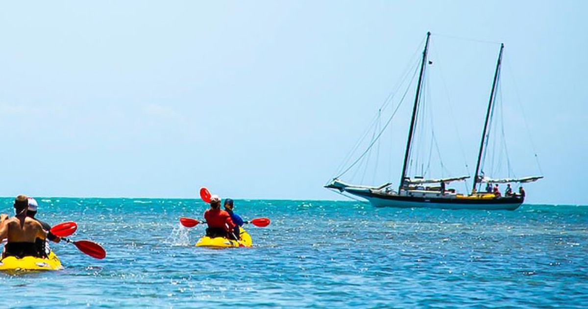 Key West: Full Day Tour of Key West National Wildlife Refuge | GetYourGuide