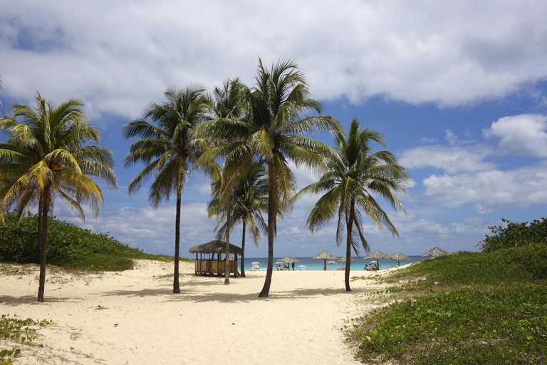 De Colombo: Excursão de 10 dias ao Sri Lanka com guia e hotel