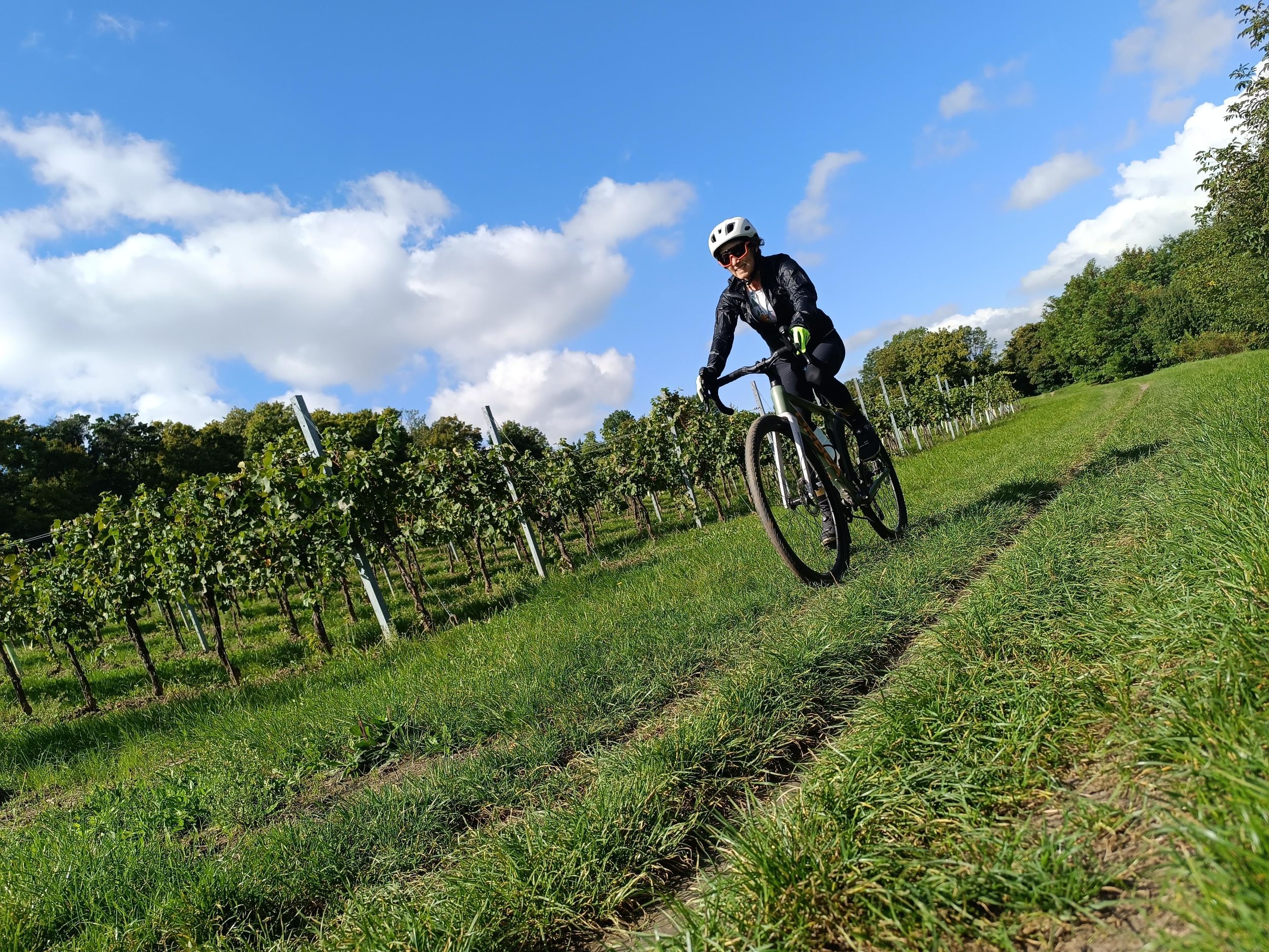 Wien: Private Schotterradtour mit Schlössern & Wein