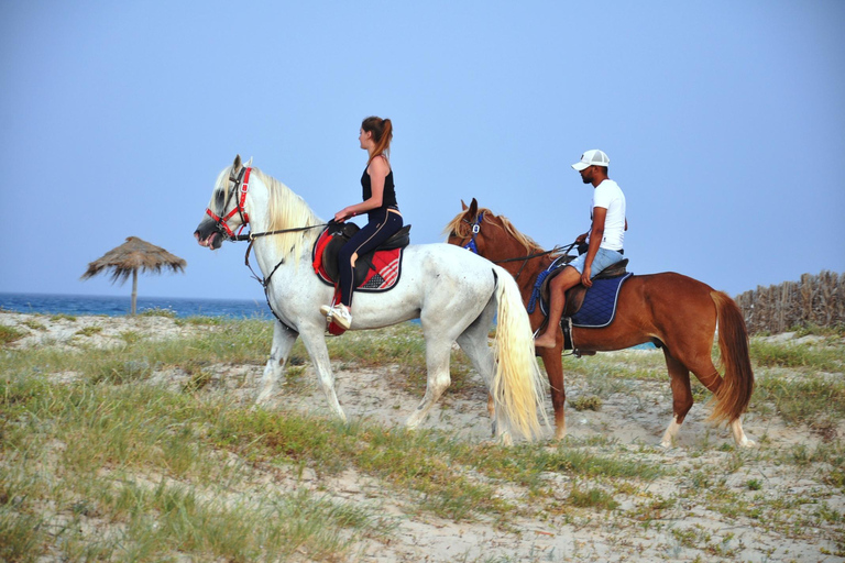 DJERBA: Passeio a cavalo particular (2h).