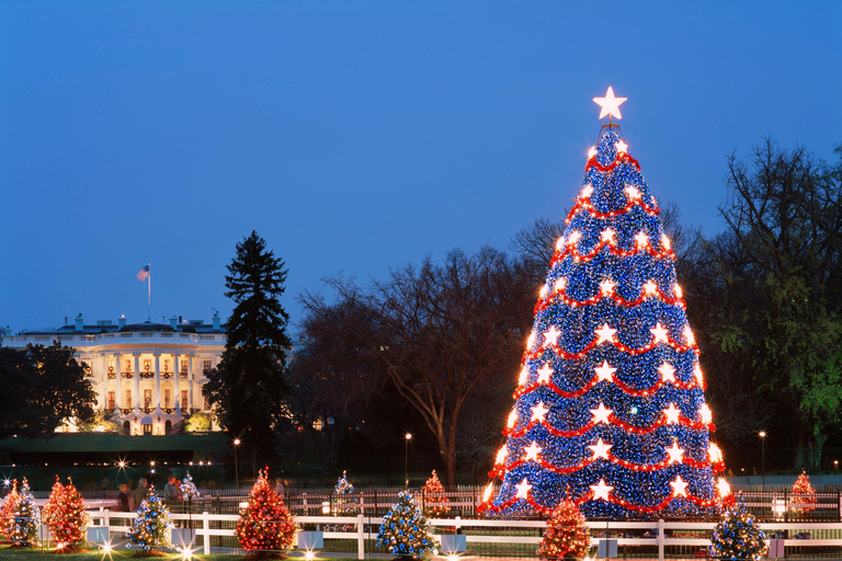 Washington, DC: Big Bus Holiday Tour by Open-top Bus