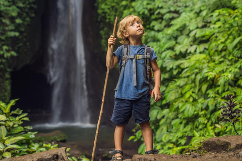 Bali : Visite du nord de Bali avec Jatiluwih, Ulun Danu, chutes d&#039;eau.